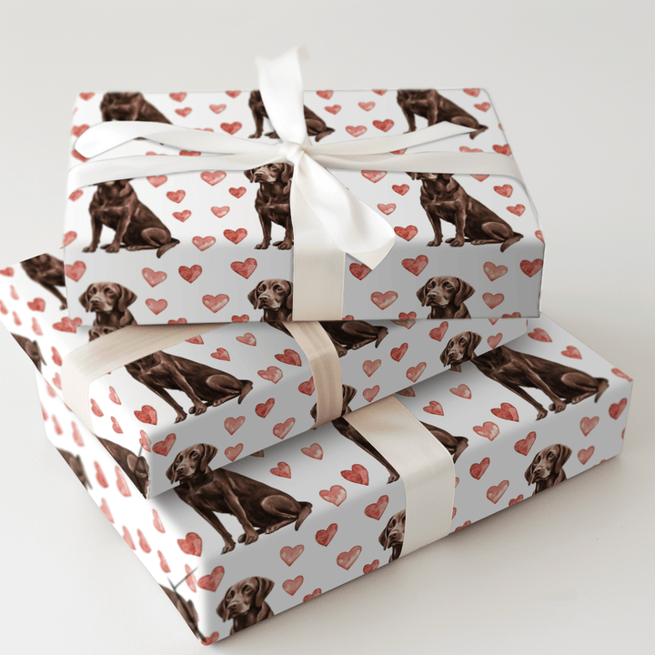 Chocolate Lab Valentine - Wrapping Paper - Aspen & Arlo