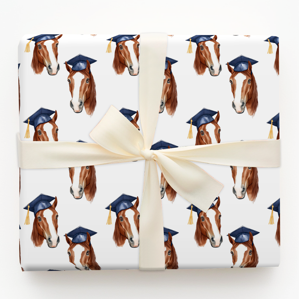 Clydesdale Graduate