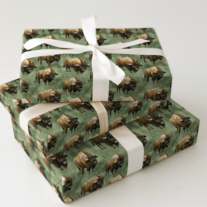 Expanse and Star - Wrapping Paper - Aspen & Arlo