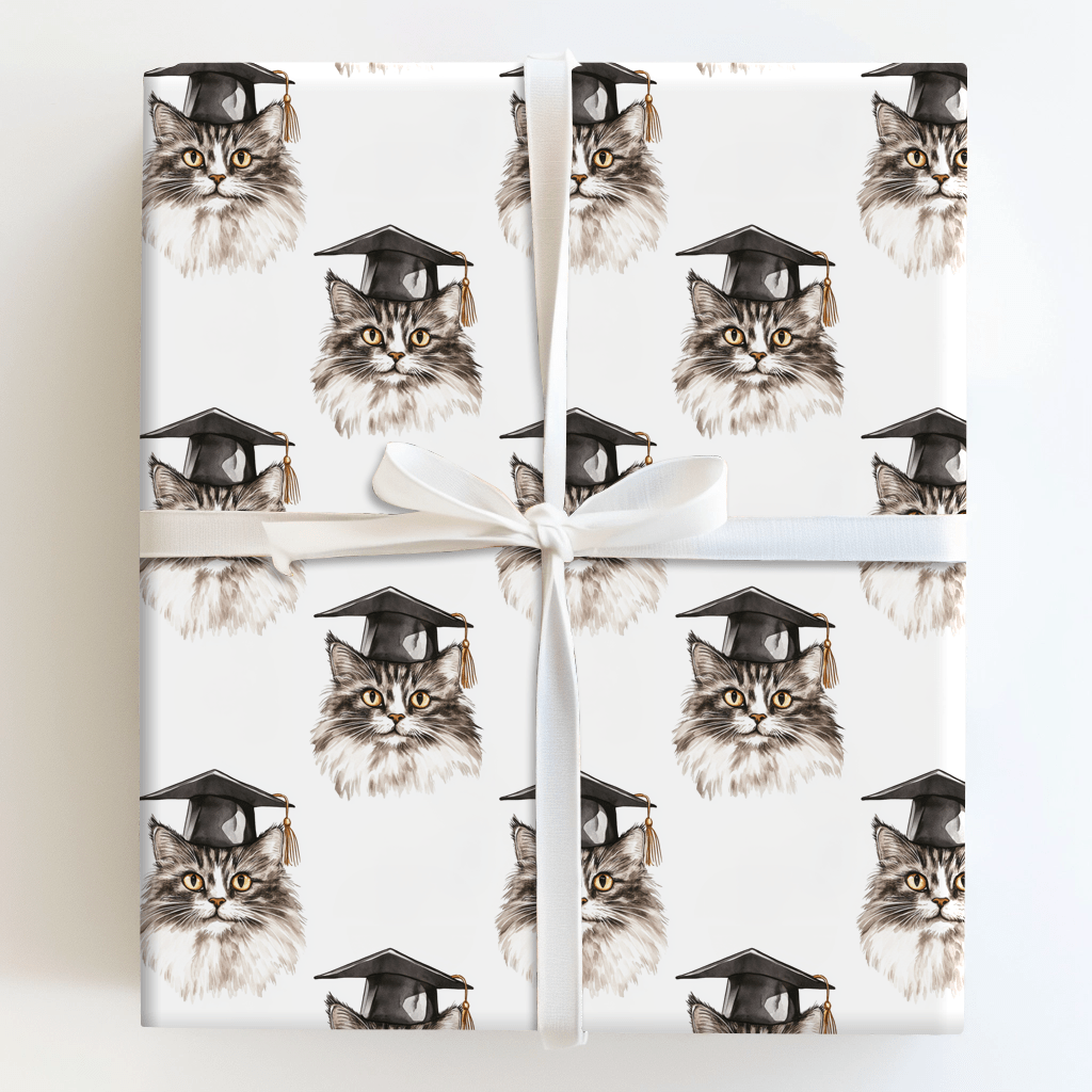 Feline So Accomplished - Wrapping Paper - Aspen & Arlo