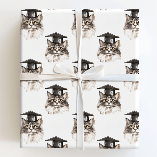 Feline So Accomplished - Wrapping Paper - Aspen & Arlo