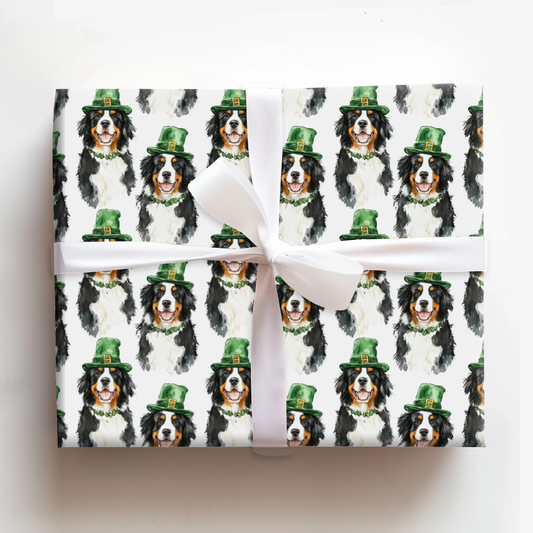 Leprechaun Bernese Mountain Dog