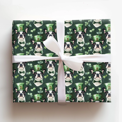 Leprechaun Boston Terrier