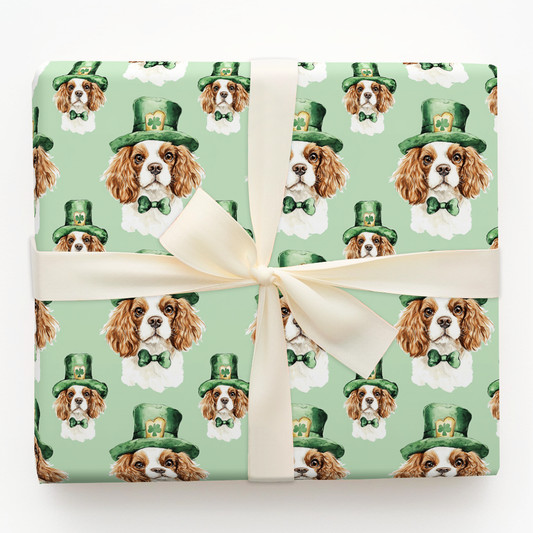 Leprechaun Cavalier King Charles