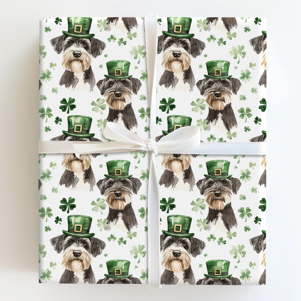 Leprechaun Schnauzers