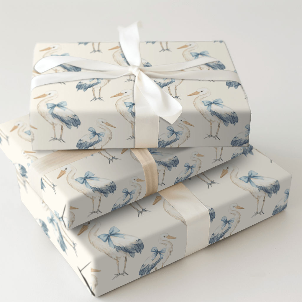 Little Mister on Board - Wrapping Paper - Aspen & Arlo