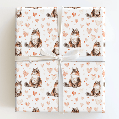 Maine Coon Valentine - Wrapping Paper - Aspen & Arlo