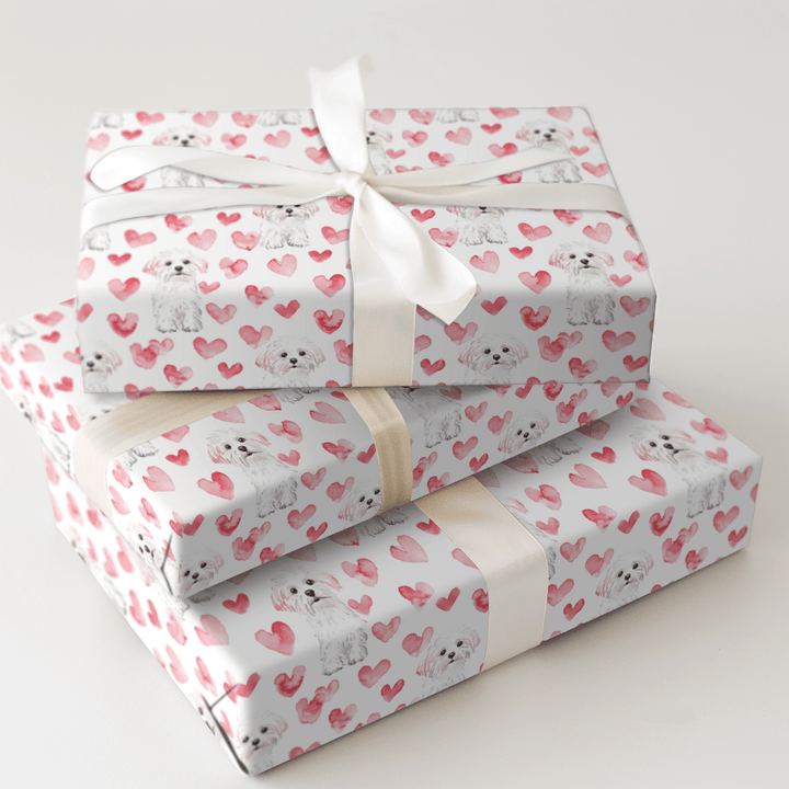 Maltese Valentine - Wrapping Paper - Aspen & Arlo
