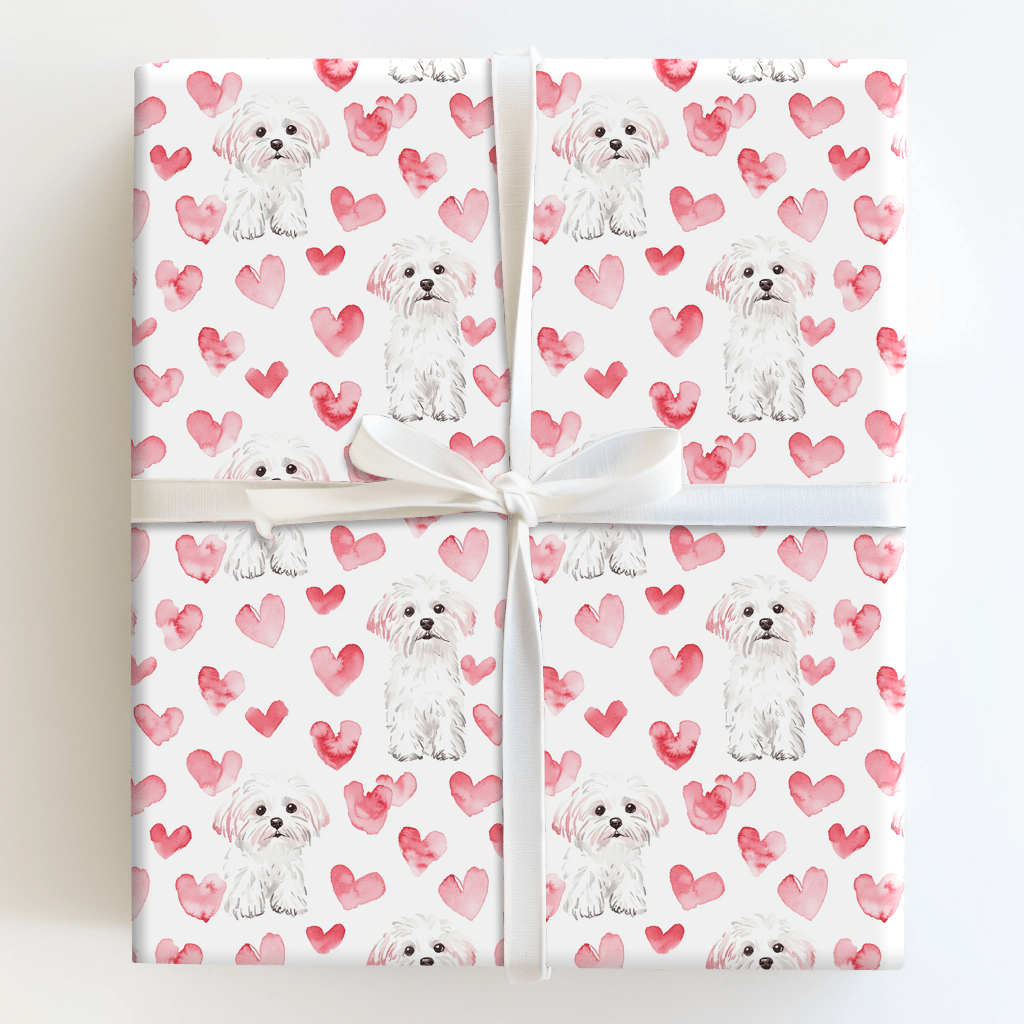 Maltese Valentine - Wrapping Paper - Aspen & Arlo
