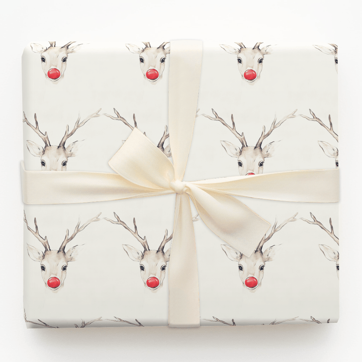 Nosy Red - Wrapping Paper - Aspen & Arlo