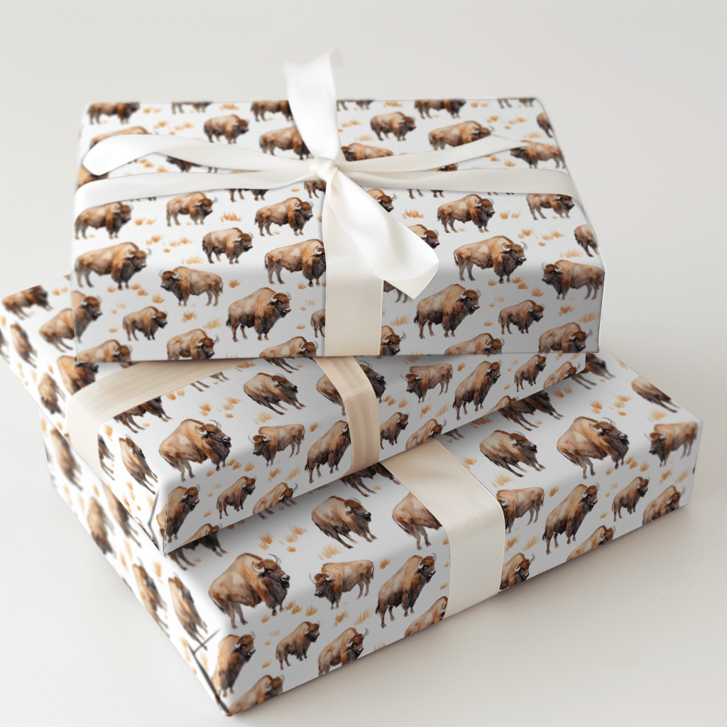 Open Sky Pass - Wrapping Paper - Aspen & Arlo