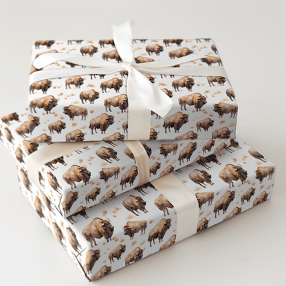 Open Sky Pass - Wrapping Paper - Aspen & Arlo