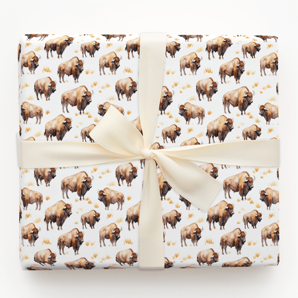Open Sky Pass - Wrapping Paper - Aspen & Arlo