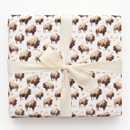 Open Sky Pass - Wrapping Paper - Aspen & Arlo