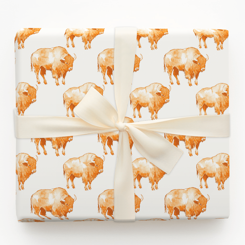 Orange West - Wrapping Paper - Aspen & Arlo