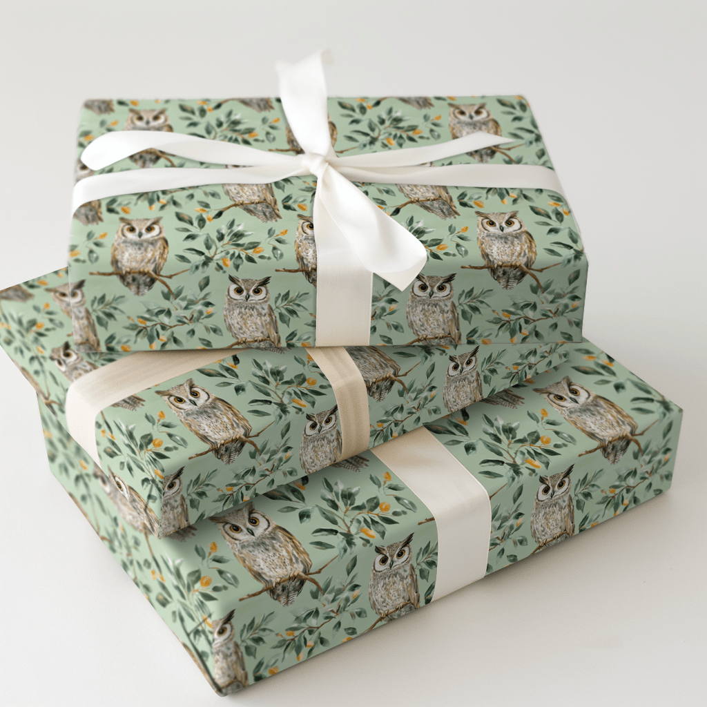 Owl Day Every Day - Wrapping Paper - Aspen & Arlo