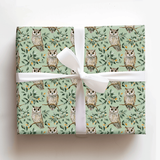 Owl Day Every Day - Wrapping Paper - Aspen & Arlo