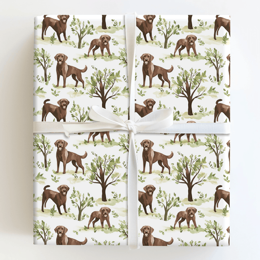 Park Day with the Brown Lab - Wrapping Paper - Aspen & Arlo