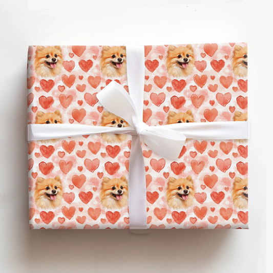 Pomeranian Valentine