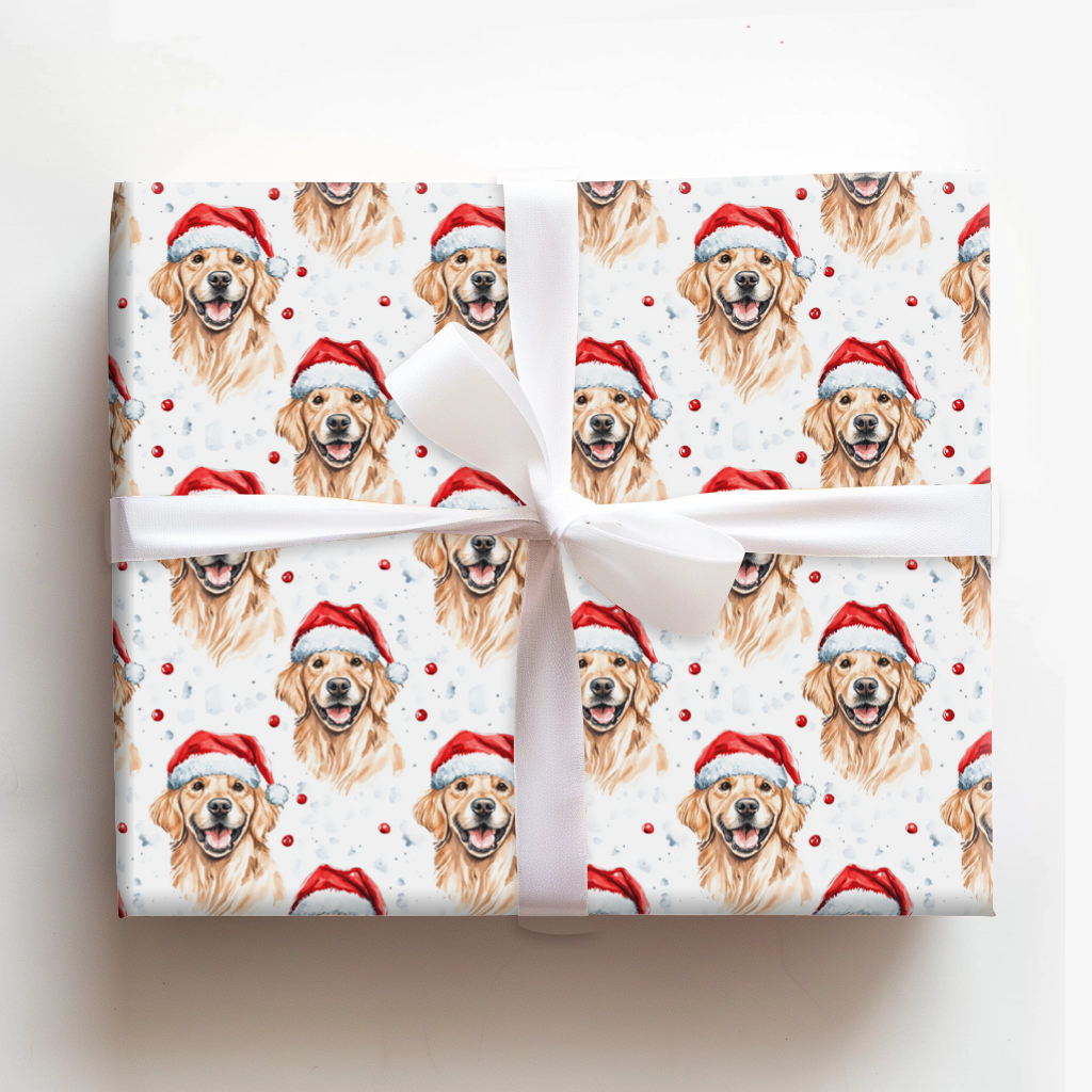 Present Retriever