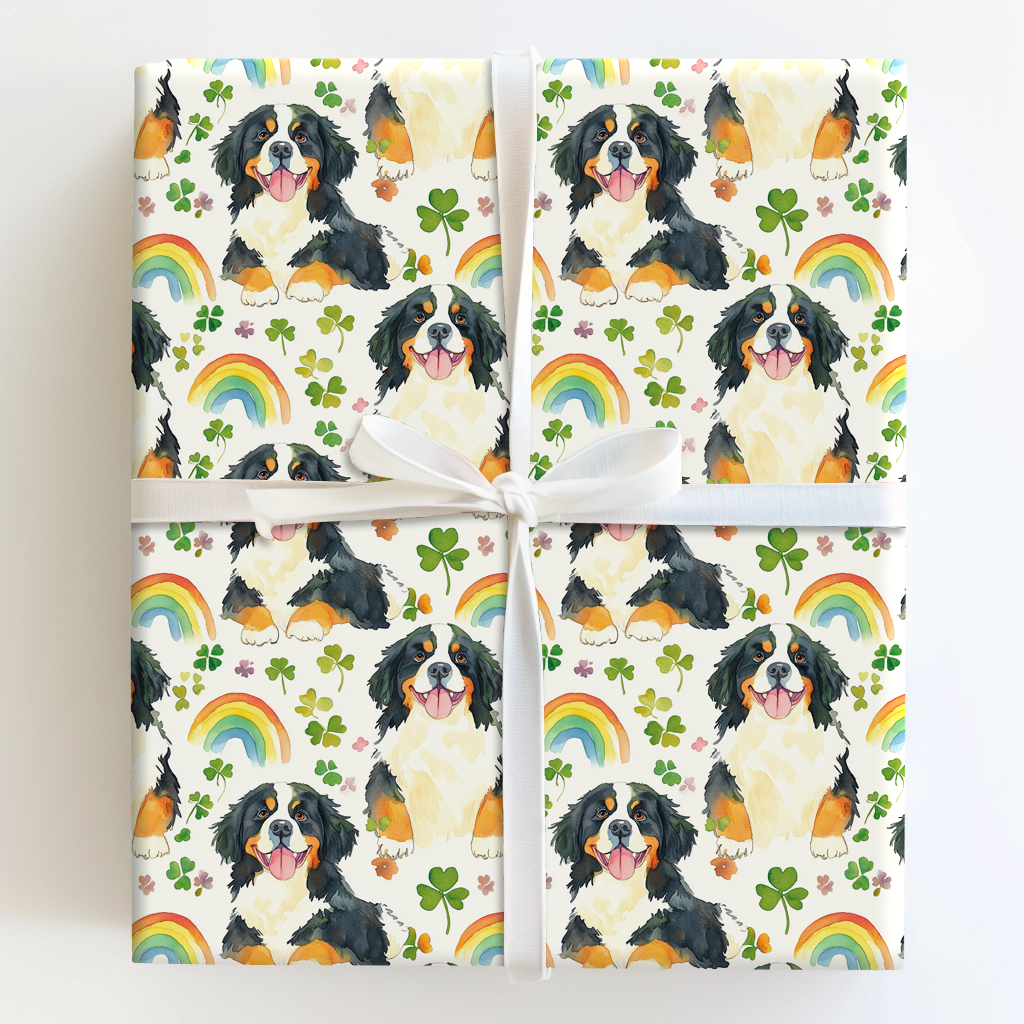 Rainbows with the Bernese Mountain Dog