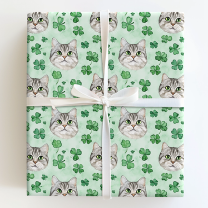 Shamrocks with the American Shorthair