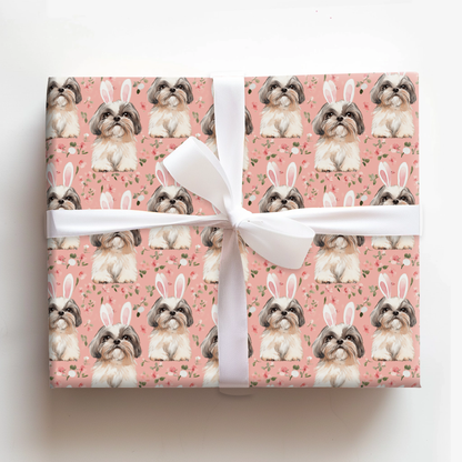 Shih Tzu Bunny