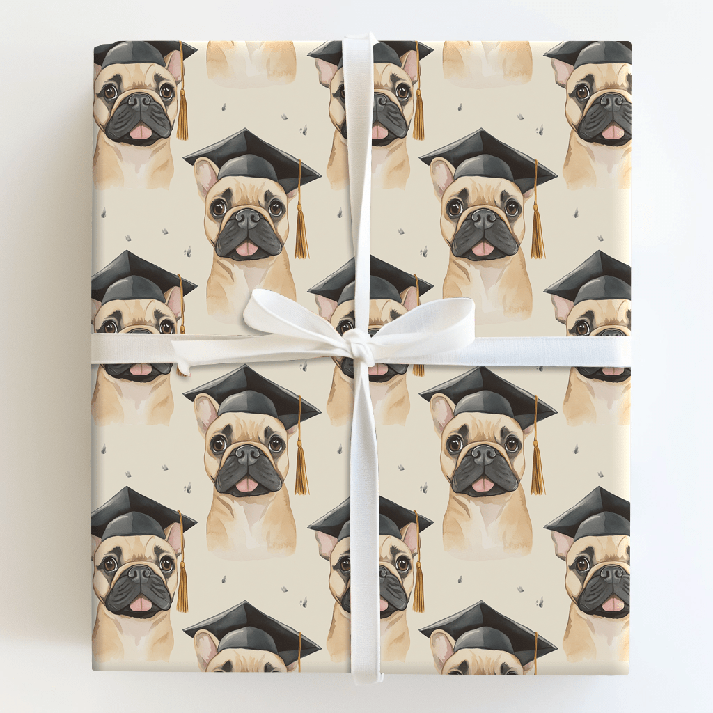 Tan Frenchie Graduate - Wrapping Paper - Aspen & Arlo