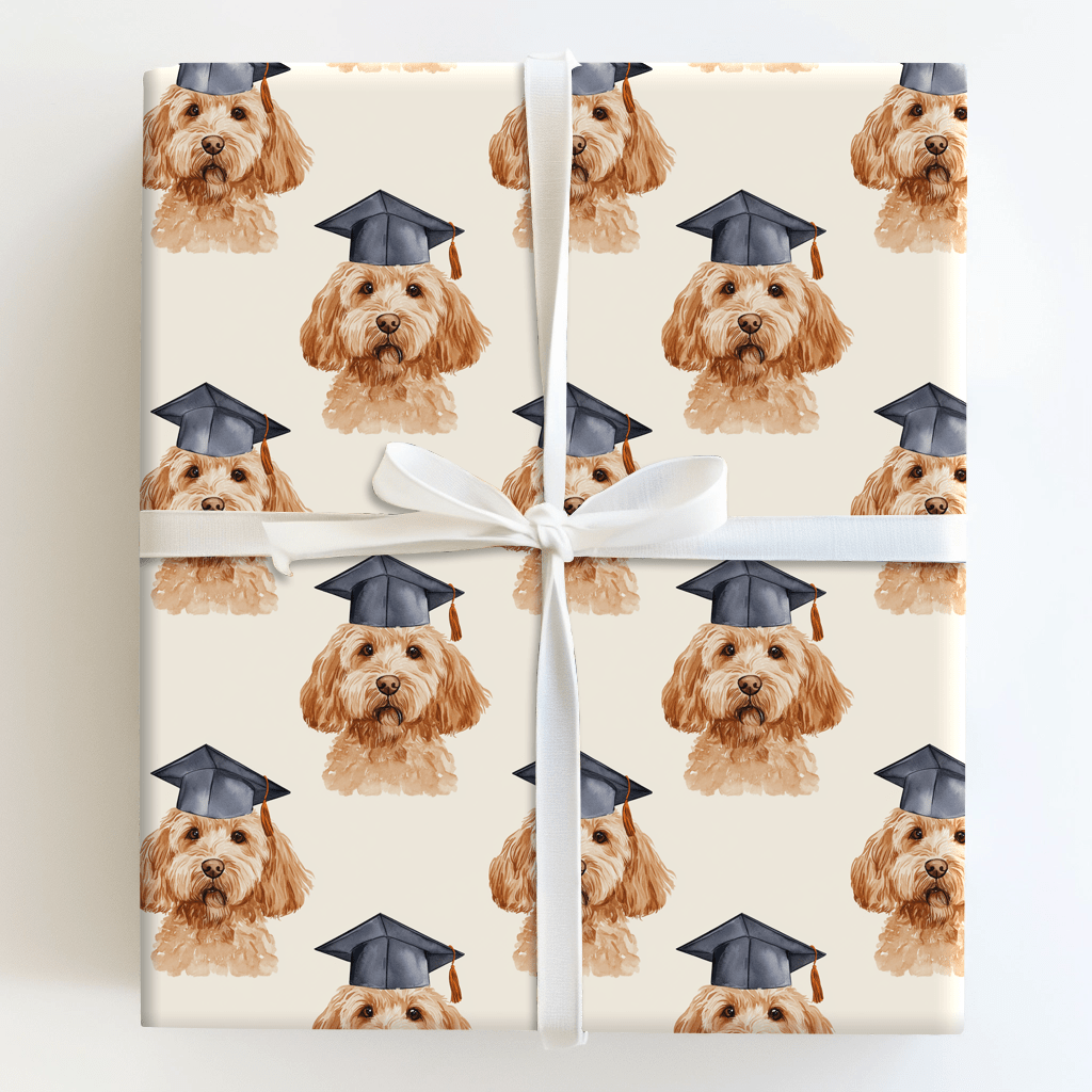 Top of the Class Doodle - Wrapping Paper - Aspen & Arlo