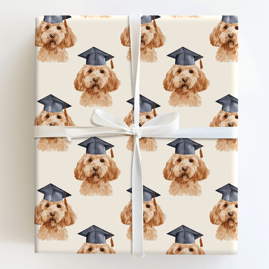 Top of the Class Doodle - Wrapping Paper - Aspen & Arlo