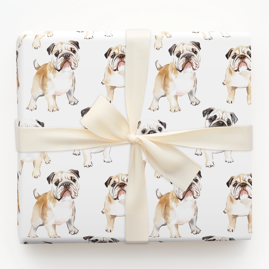 Don't be a Bully - Wrapping Paper - Aspen & Arlo
