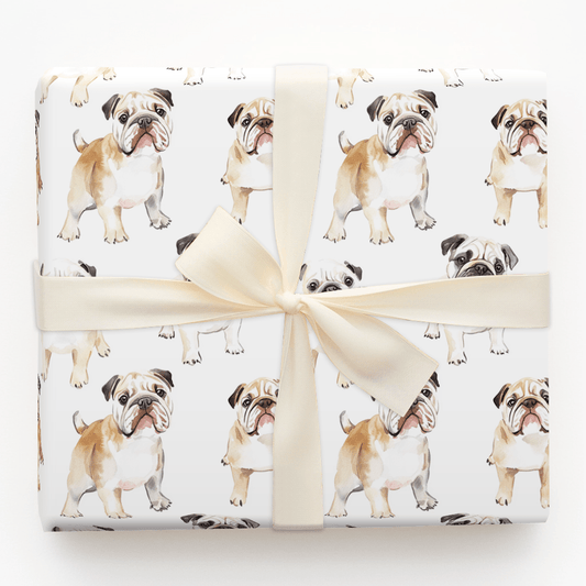 Don't be a Bully - Wrapping Paper - Aspen & Arlo