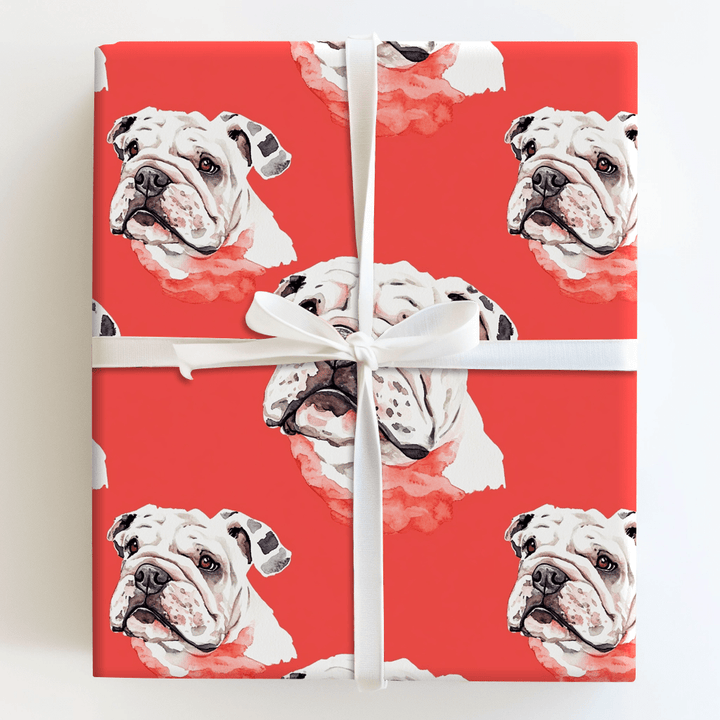 Bulldog Bite - Wrapping Paper - Aspen & Arlo