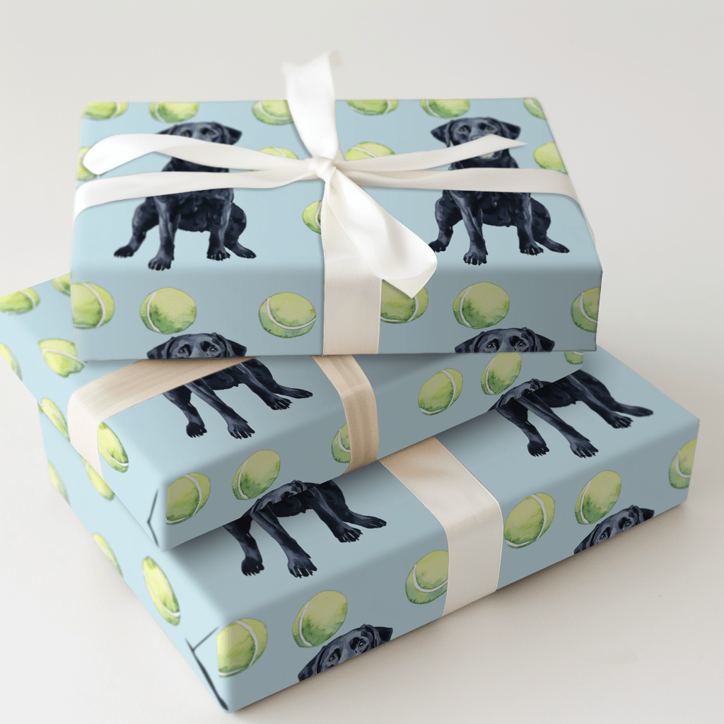 Buckeye Boy - Wrapping Paper - Aspen & Arlo