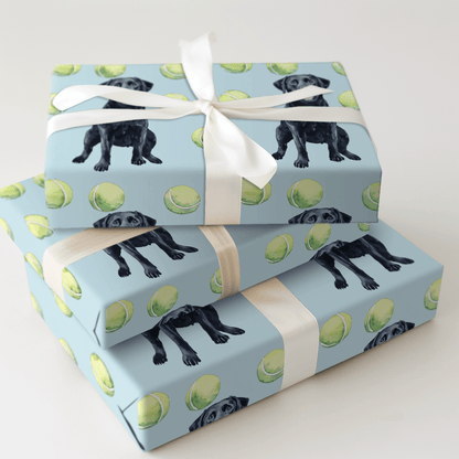 Buckeye Boy - Wrapping Paper - Aspen & Arlo