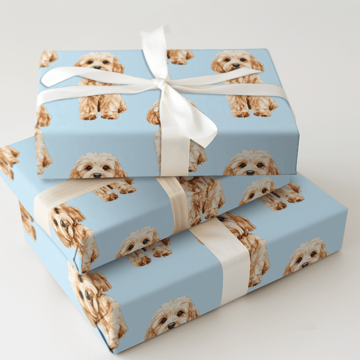 Cava Nother - Wrapping Paper - Aspen & Arlo