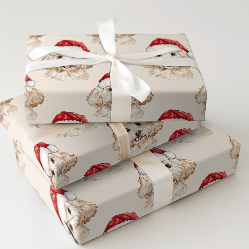 Doodle Santa - Wrapping Paper - Aspen & Arlo