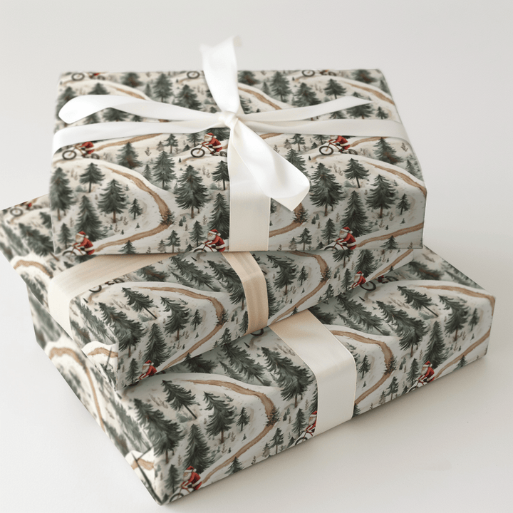 Coler Park in the Winter - Wrapping Paper - Aspen & Arlo