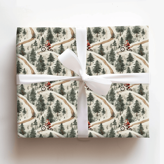 Coler Park in the Winter - Wrapping Paper - Aspen & Arlo