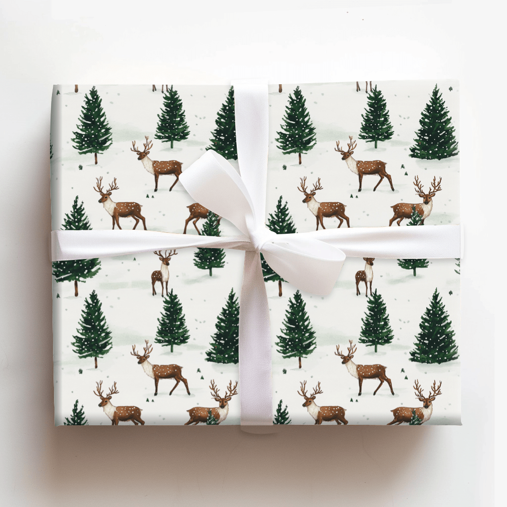 I Have No Idear - Wrapping Paper - Aspen & Arlo