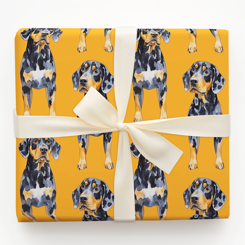 Barking Orange - Wrapping Paper - Aspen & Arlo