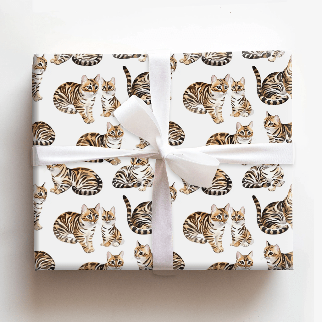 Quincy Bengal - Wrapping Paper - Aspen & Arlo