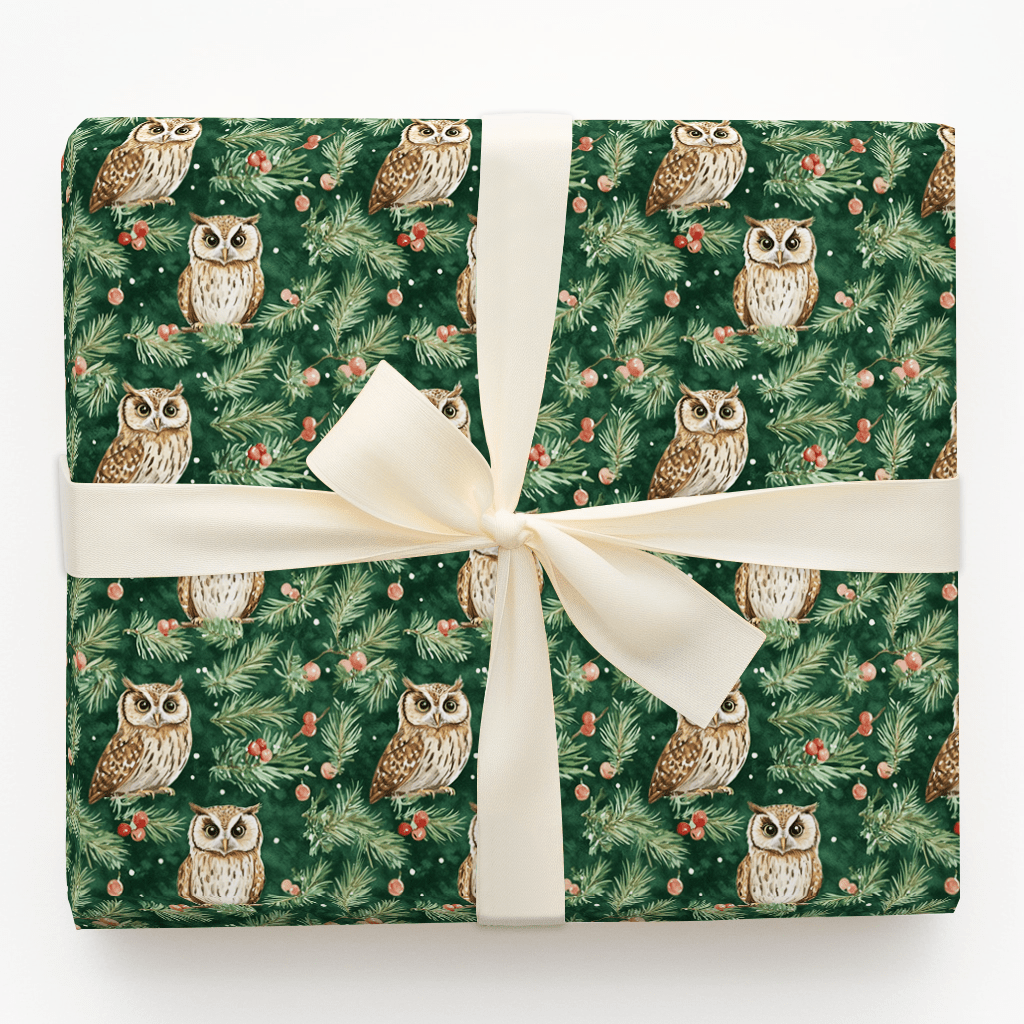 Night Owl Noel - Wrapping Paper - Aspen & Arlo