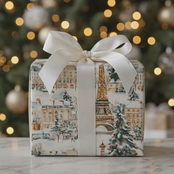 Christmas In Paris