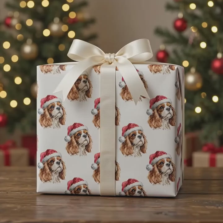 King Cavalier Santa
