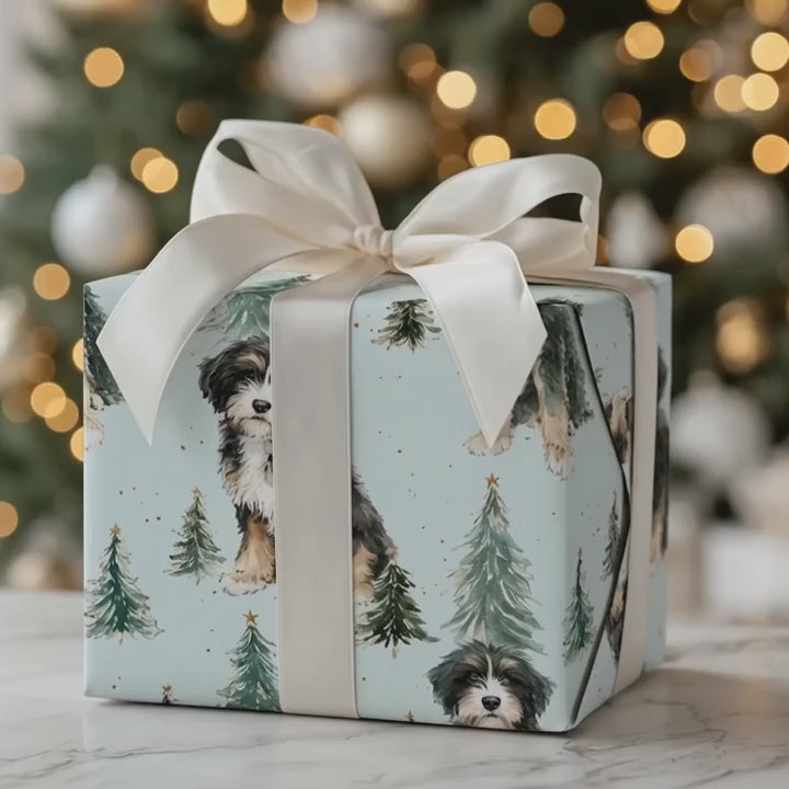 Bernedoodle Tidings