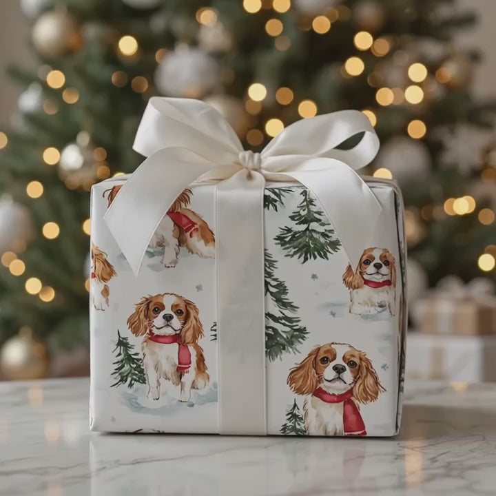 Snow Day for Cavalier King Charles
