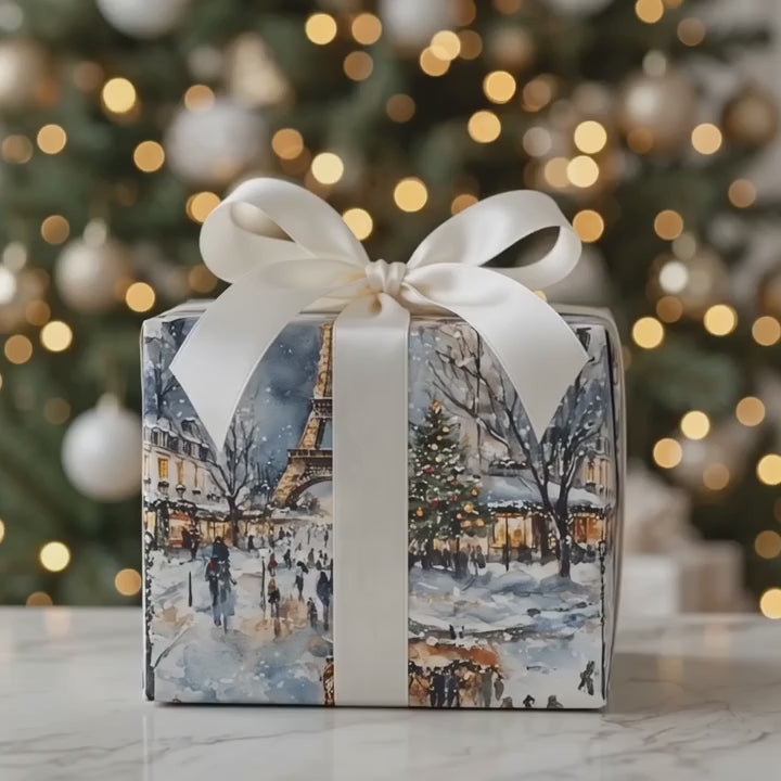 Paris Snow Celebration