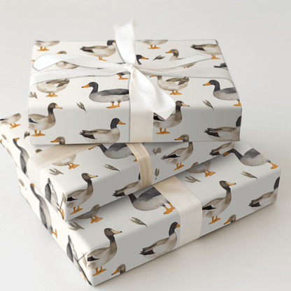 Quacked the Code - Wrapping Paper - Aspen & Arlo