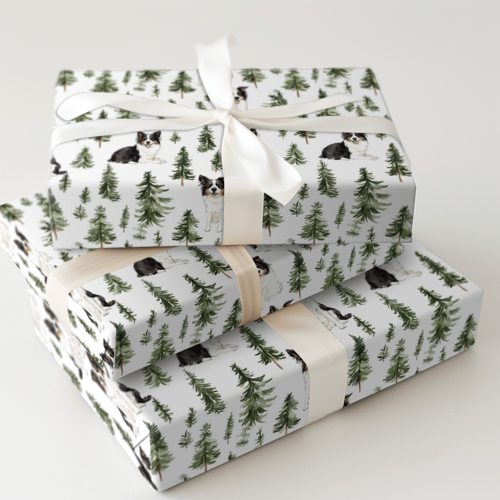 Snow Day for Border Collies - Wrapping Paper - Aspen & Arlo